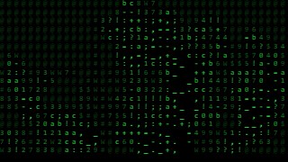 Matrix look — ASCIIKit effect preview