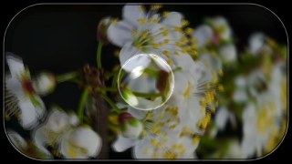 Magnifier look — Glassify effect preview
