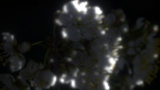 Ghost Trails look — Lumina effect preview