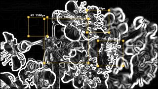 Forensic look — ImageTrack effect preview