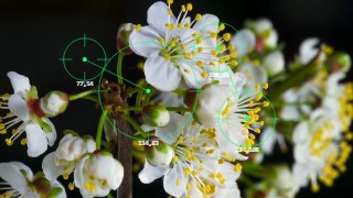 Surveillance look — ImageTrack effect preview