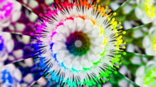 Rainbow Wheel look — Kaleidoscope effect preview