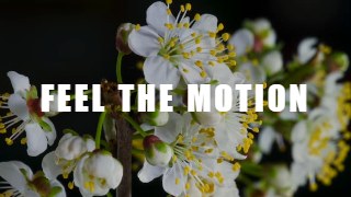 Glitch Title look — Kinetic Type effect preview