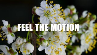 Slide Stack look — Kinetic Type effect preview