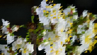 Crystalline look — LowPoly effect preview