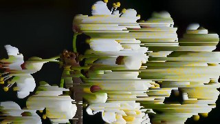 Classic look — PixelSort effect preview