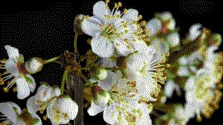 C64 look — Retroman effect preview