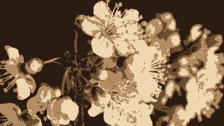Sepia look — Retroman effect preview
