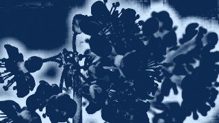 Blueprint look — Sketch effect preview