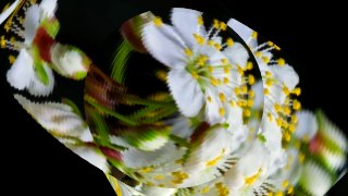 Radial Vortex look — SlitScan effect preview