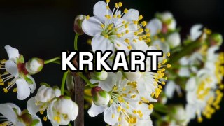 Big Title look — Text effect preview