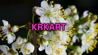 Neon Sign look — Text effect preview