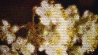 Handycam Memory vibe — Camcorder
