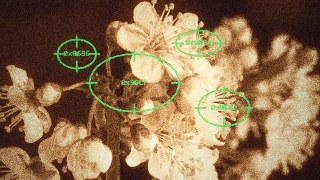 Sepia Scope vibe — ReColor + BabyTrack