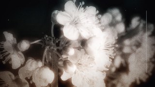 Silent Movie vibe — Stutter