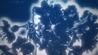 Sketch Noir vibe — Sketch