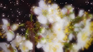 Snow Globe vibe — Particles