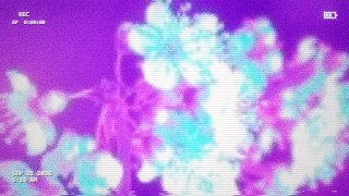 Vapor Tape vibe — ReColor + Camcorder