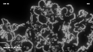 Wireframe Cam vibe — EdgeGlow + Camcorder